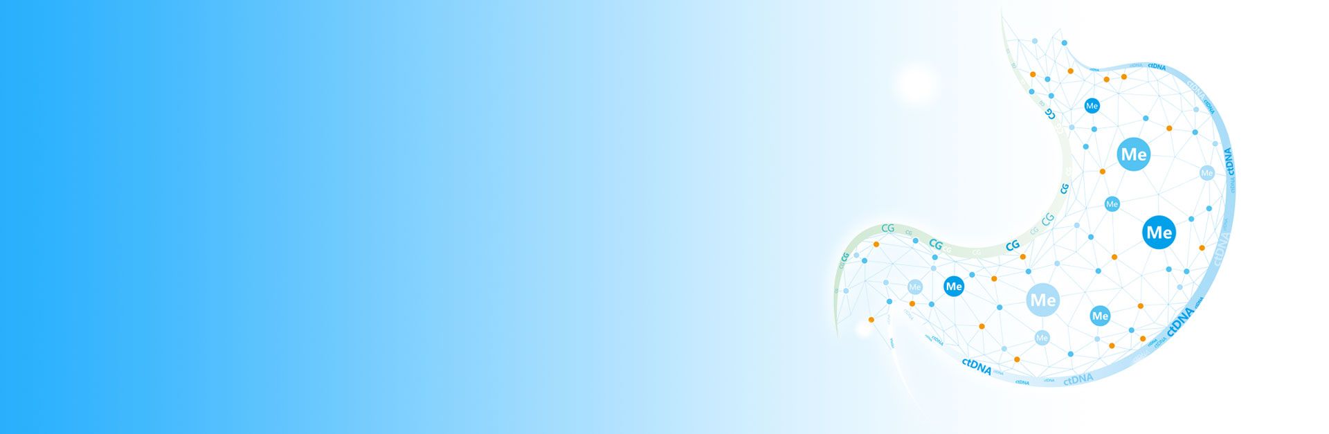 1920x627-240.jpg